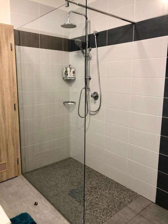 Apartman Lipno G11 Frymburk Eksteriør billede